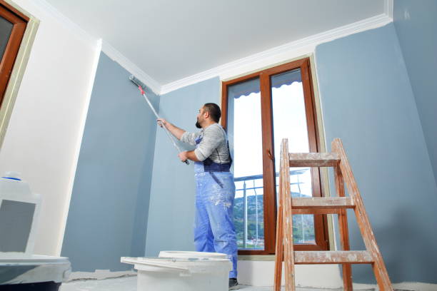 Jim Thorpe, PA Mold Removal Company