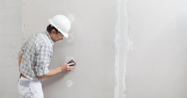 Environmental Consulting for Mold Prevention in Jim Thorpe, PA