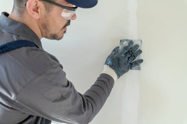 Best Black Mold Removal  in Jim Thorpe, PA